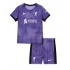 Liverpool 3rd Trikot 2023-24 Kurzarm (+ kurze hosen)